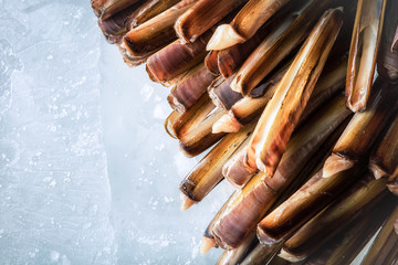 Sea delicacies. Fresh seafood. Sea finger © Voloshyn Roman