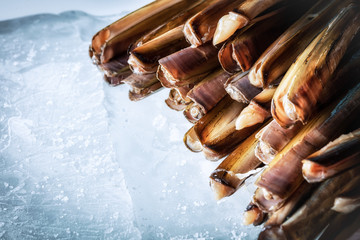 Sea delicacies. Fresh seafood. Sea finger © Voloshyn Roman