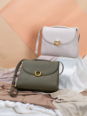 beautiful woman fashion bag