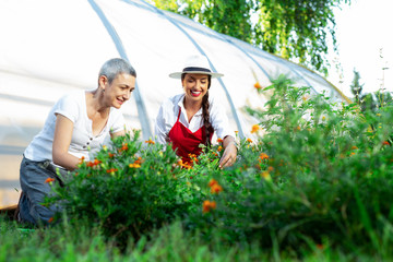 Two women working in a botanical garden