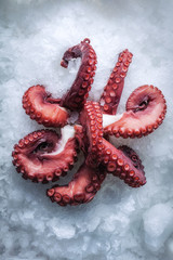 Sea delicacies. Fresh seafood. Octopus tentacles on ice.