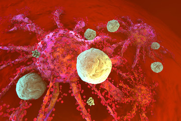 T-Cells of the immune System attacking growing Cancer cells - 277388481