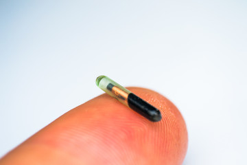close-up photo of a microchip for pets on human finger