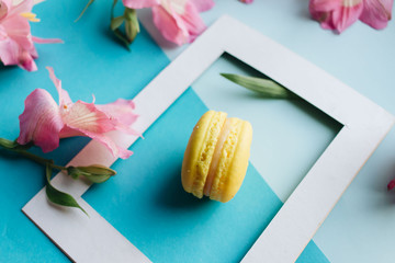 Piece of delicious macaroon on floral background with frame