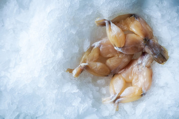 Sea delicacies. Fresh seafood. Frog legs on the ice.