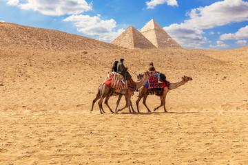 Egyptian men on camels in the sands of Giza near the Pyramids