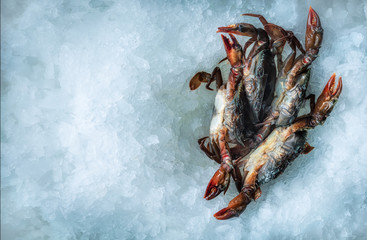Sea delicacies. Fresh seafood. Soft-bodied crab on ice.
