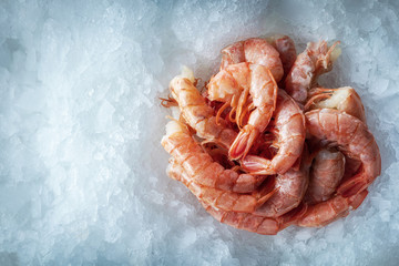 Sea delicacies. Fresh seafood. Shrimp on ice.
