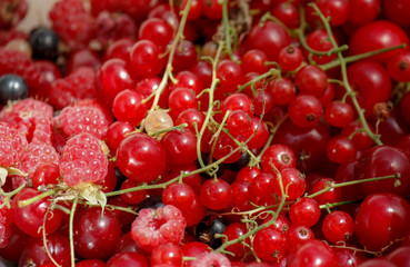 background of ripe juicy berries of red currants, raspberries and cherries. Close-up plan view from above.