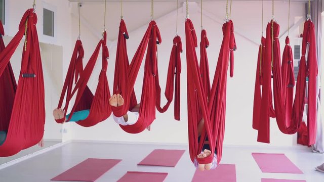 sleepy women group with bare feet relaxes swinging in red aerial fly yoga hammocks above fitness sport mats