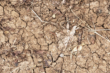 Background of arid land surface with cracks.