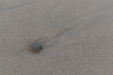 circular rock on the sand
