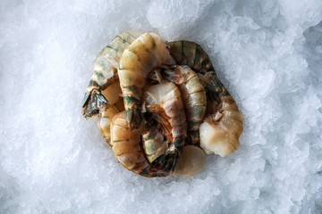 Sea delicacies. Fresh seafood. Tiger prawns on ice.