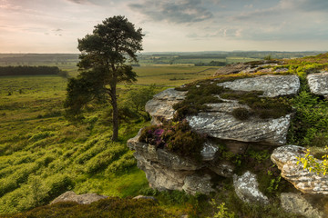 View of Shaftoe Crags and surrounding area. Northumberland. England, UK.