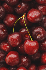 Ripe and fresh berries of a sweet cherry with water drops closeup.