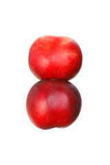 Two nectarines