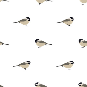Vector illustration Chickadee Seamless pattern