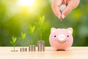 Piggy bank and coin stack with hand putting money, on green tree background