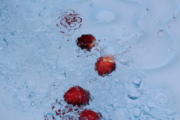 Fototapete bei efototapeten.de bestellen   