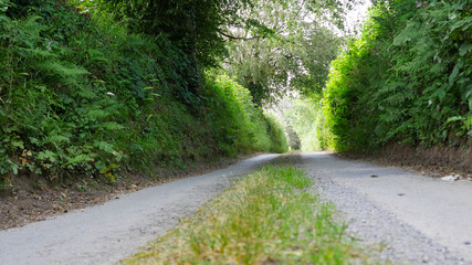 Country paths lanes & roads in summer, no cars or people
