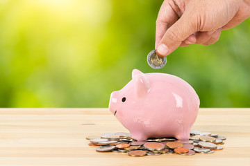 Piggy bank on money pile with hand putting money, green tree background, saving concept