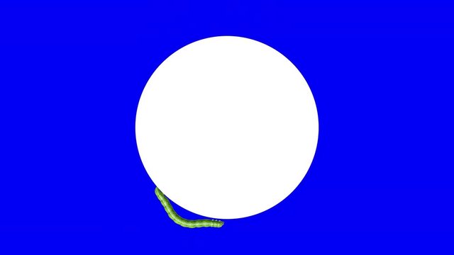 Green caterpillar crawling around the edge of a blank white circle. Blue chroma key, seamless loop 3D animation.