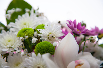 bouquet of spring flowers, close up. Women's Day
