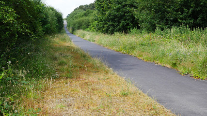 Country paths lanes & roads, in summer no cars or people