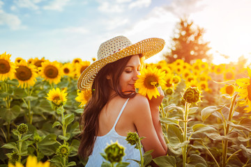 Young woman walking in blooming sunflower field and smelling flowers. Summer vacation