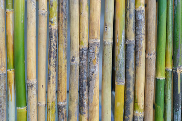 Bamboo walls are both fresh and dry