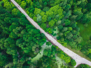 Old bridge in the middle of a small , overgrown river in the forest from a height