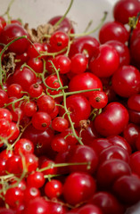 background of ripe juicy berries of red currants, raspberries and cherries. Close-up plan view from above.