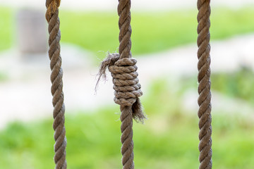 photo of a rope knot against a grass background
