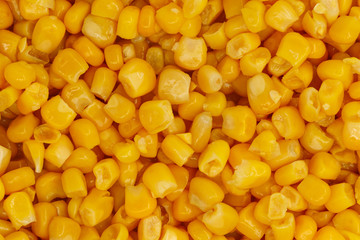 Yellow corn seeds background seamless texture close up