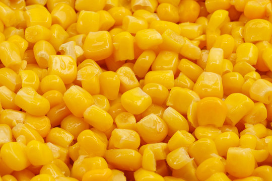 Yellow corn seeds background seamless texture close up