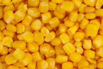 Yellow corn seeds background seamless texture close up
