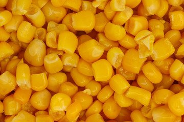 Yellow corn seeds background seamless texture close up