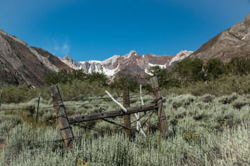 Fence and Mt. Baldwin