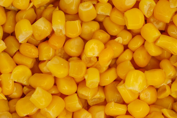 Yellow corn seeds background seamless texture close up