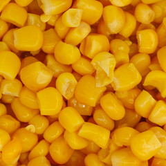 Yellow corn seeds background seamless texture close up