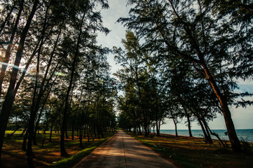 sea autumn in the park