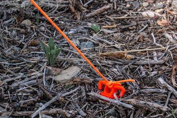 Orange Tent Stake