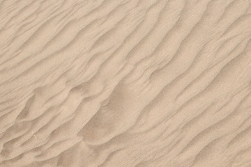 Fototapeta na wymiar yellow desert sand dunes texture natural background.abstact sand wave pattern