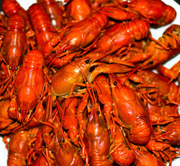Boiled cooked crayfish. Red crayfish on a plate. Great beer snack.