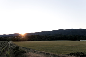 Provence, south of France nature and lanscapes