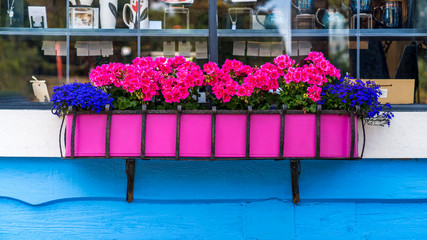 Fototapeta na wymiar Window Sill Flowers. Colourful flowers on window ledge in Victoria, British Columbia. Canada.