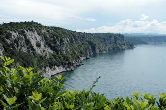 Duino coast