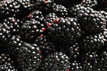 Fresh blackberry on whole background, close up