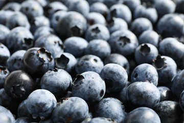 Heap of sweet blueberry as background, close up