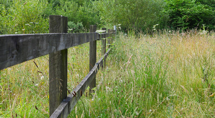 Wooden fence at the edge of a wild meadow 